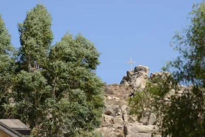 ENSC00705.jpg